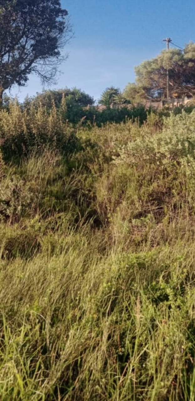 Commercial Property for Sale in Aston Bay Eastern Cape